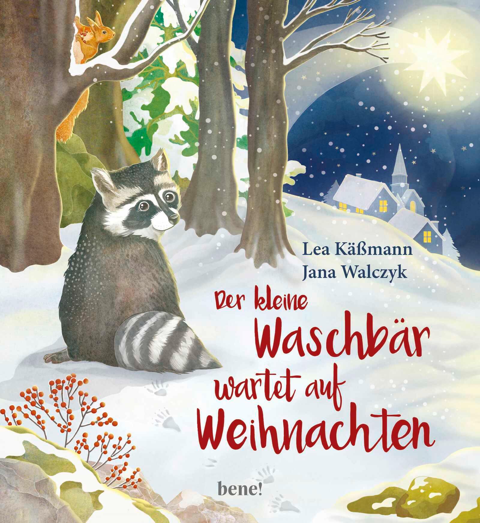 Der kleine Waschbär wartet auf Weihnachten - ein Bilderbuch für Kinder ab 2 Jahren