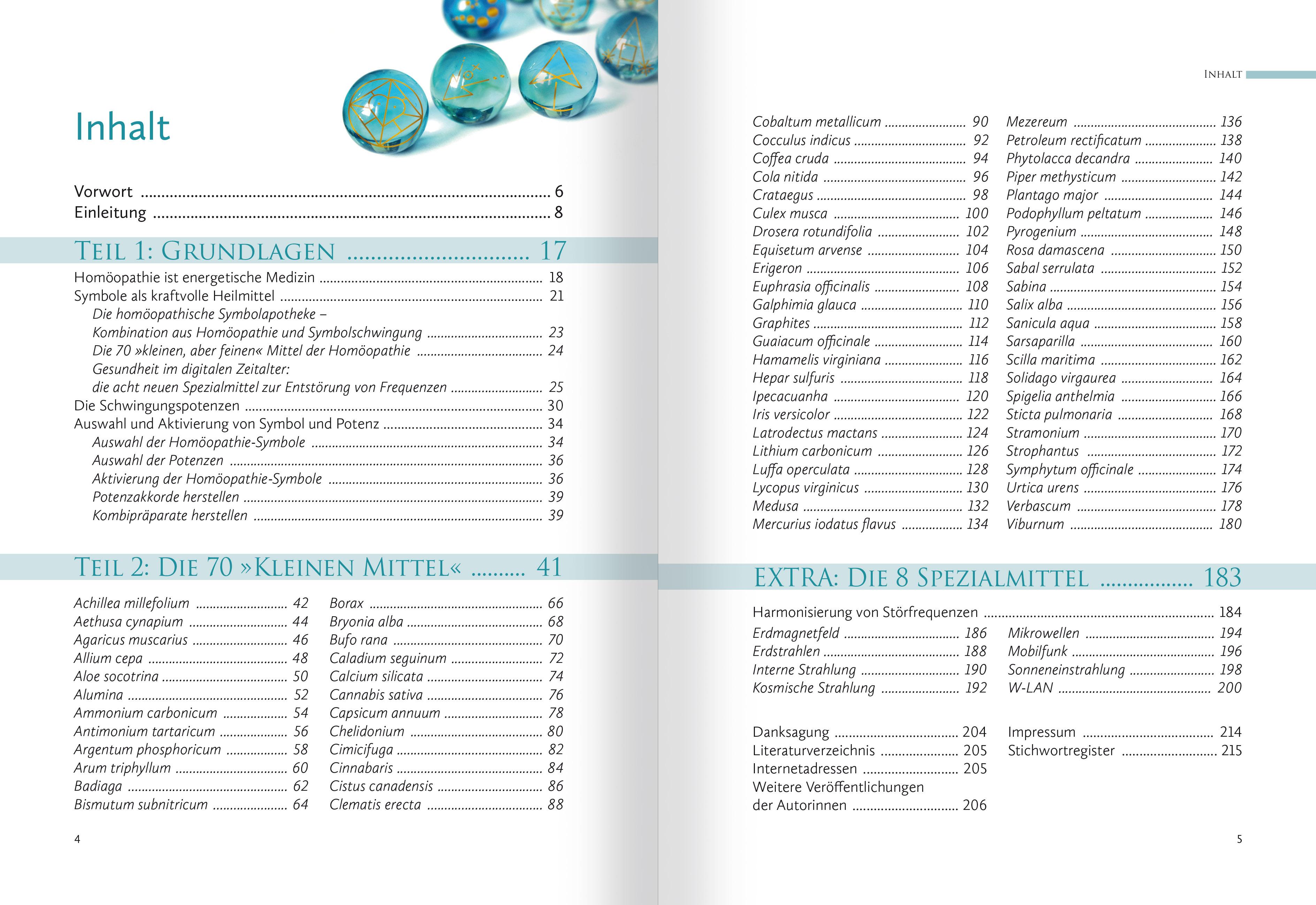 Homöopathische Symbolapotheke. 70 wichtige "Kleine Mittel"