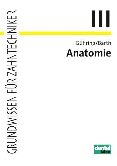 Anatomie