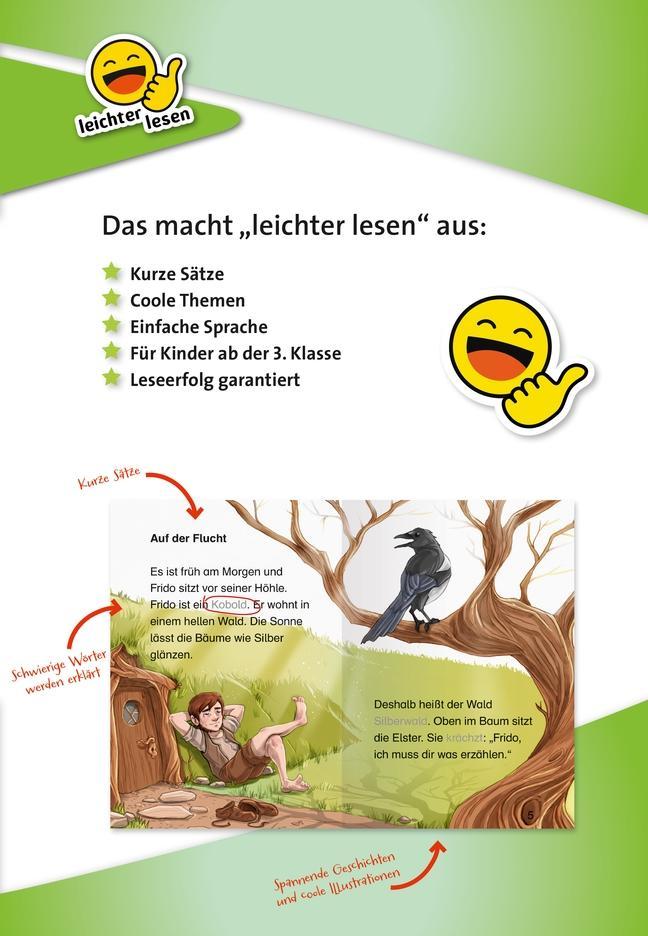 Erstleser - leichter lesen: Das verzauberte Amulett