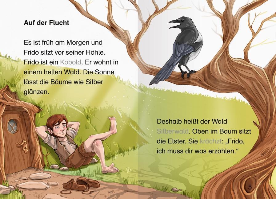 Erstleser - leichter lesen: Das verzauberte Amulett