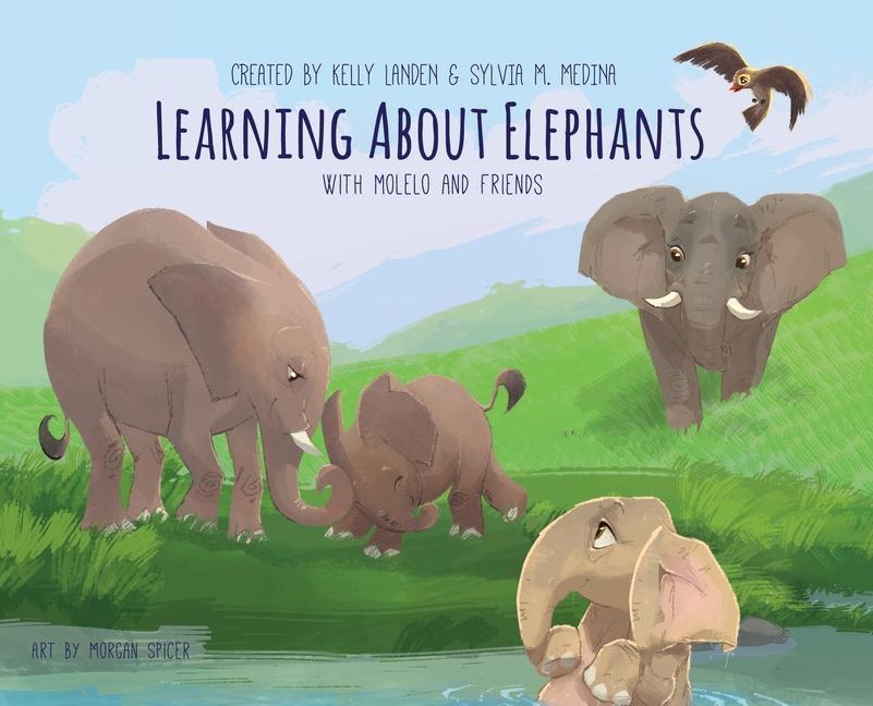 Learning About Elephants - Hardback: Environmental Heroes Series