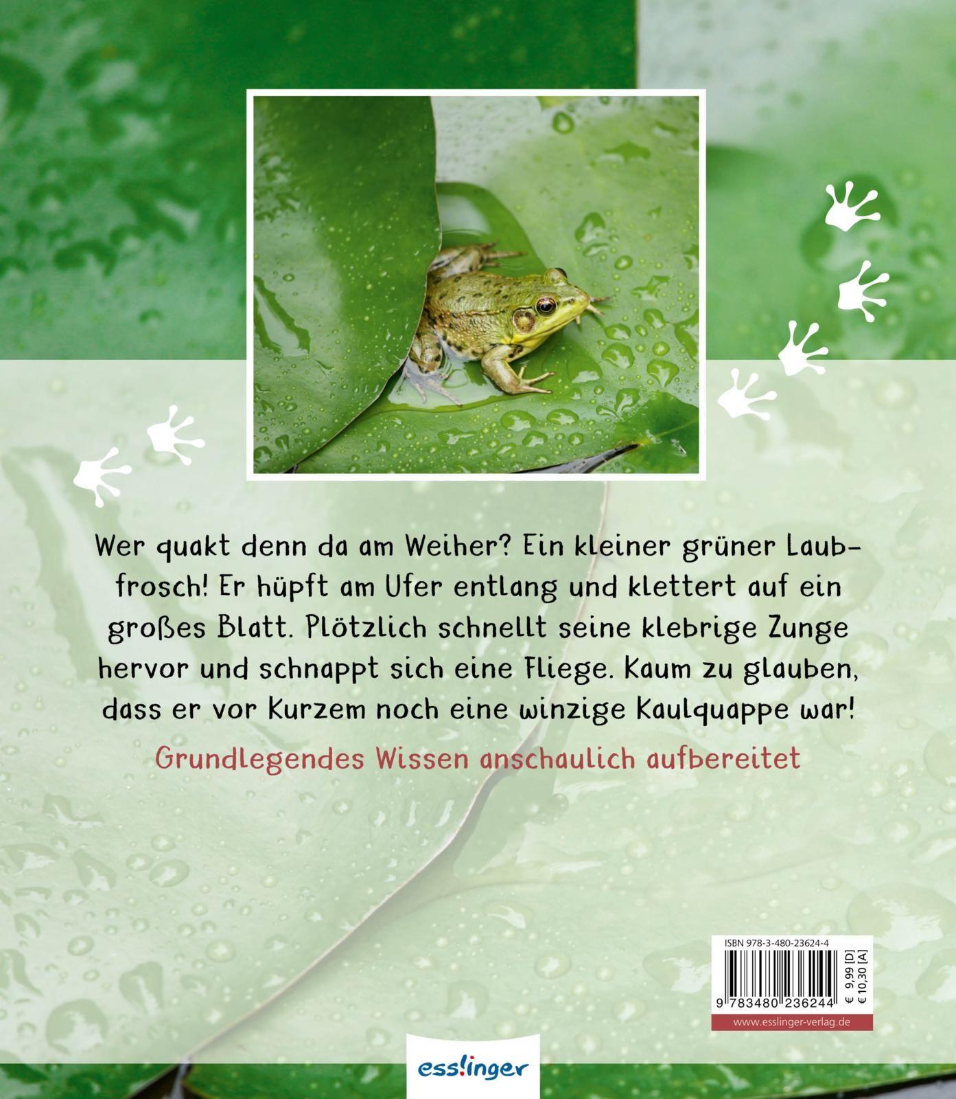 Meine große Tierbibliothek: Der Frosch