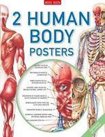 Human Body Poster Pack