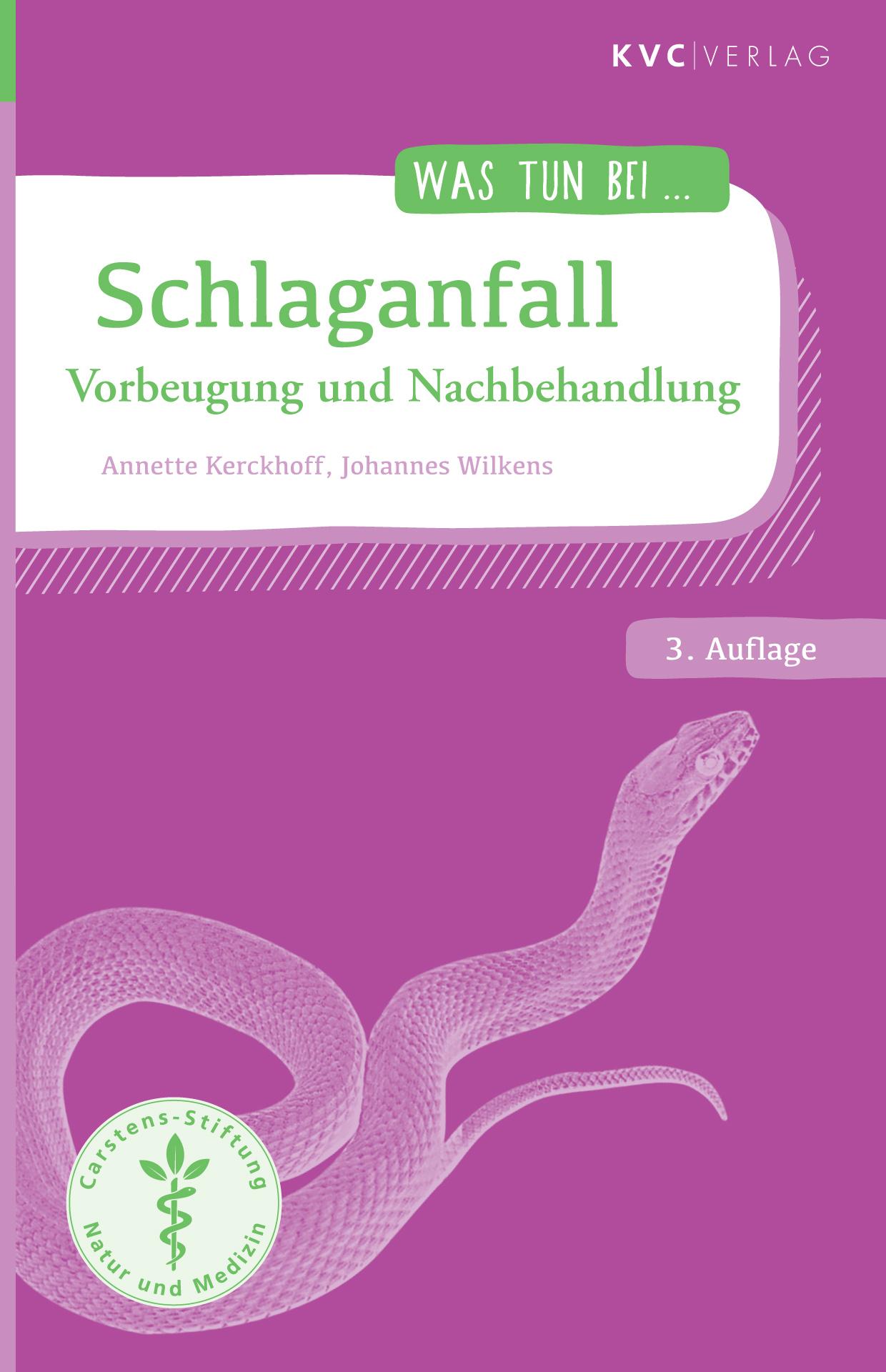 Schlaganfall