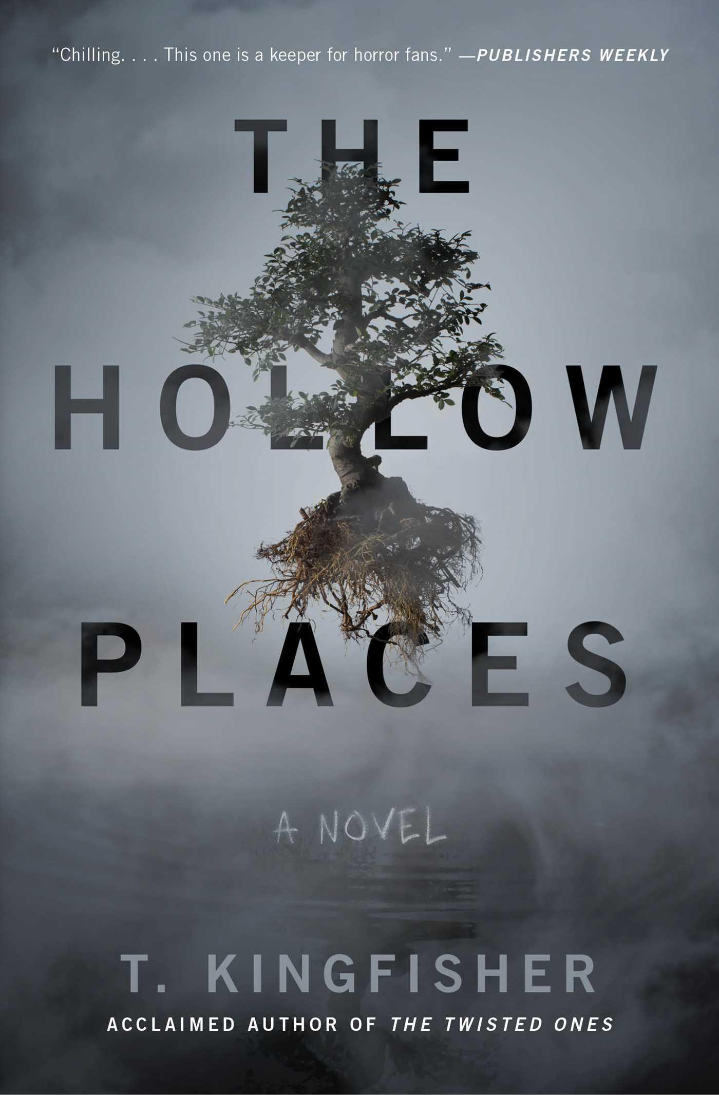 Hollow Places