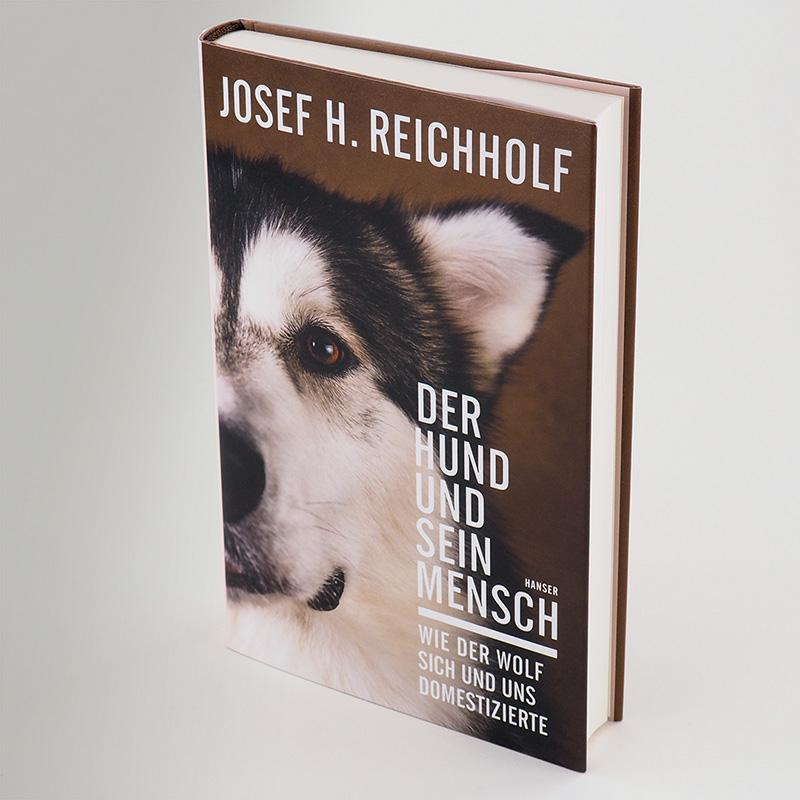 Der Hund und sein Mensch