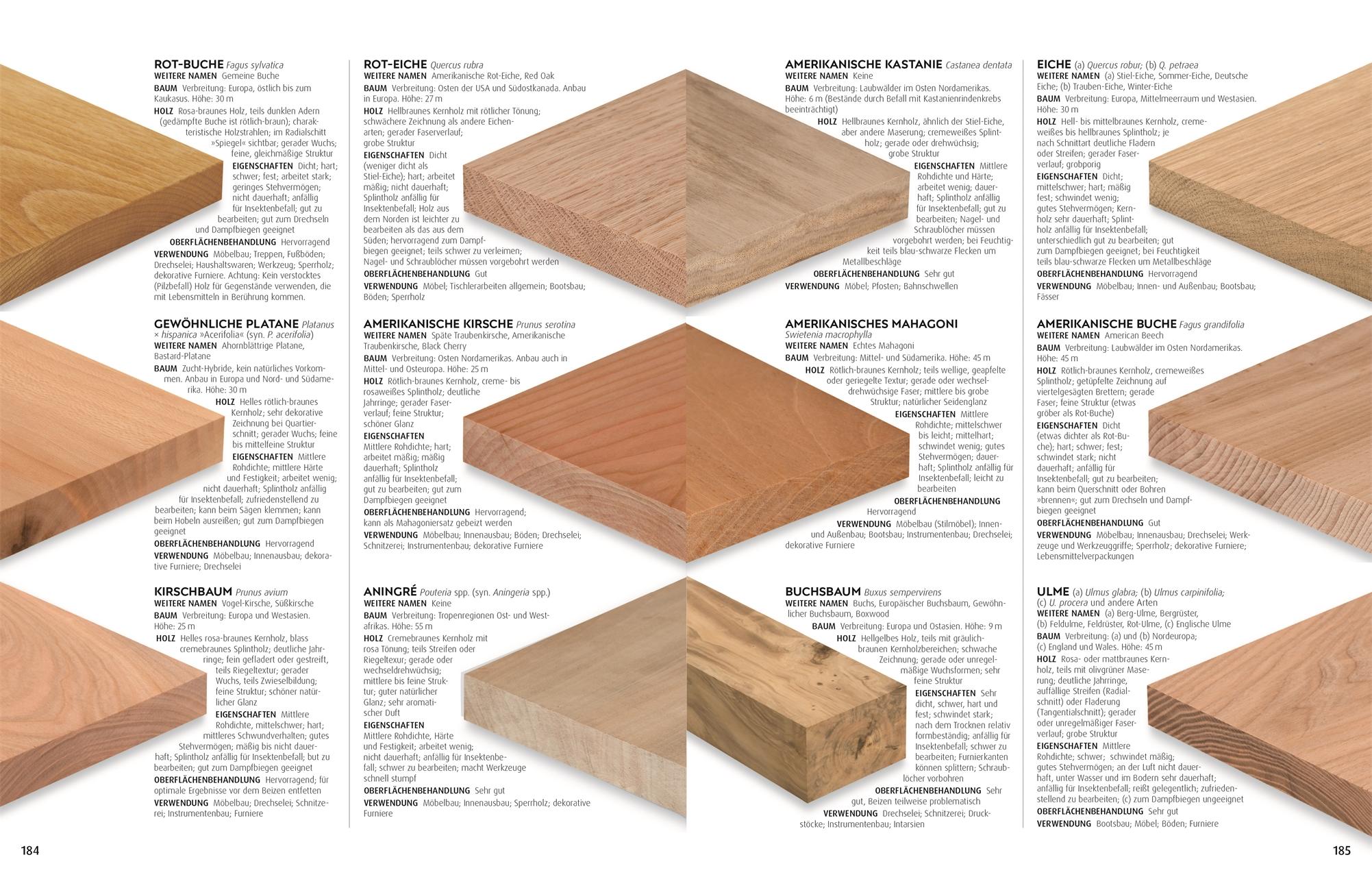 Praxisbuch Holz