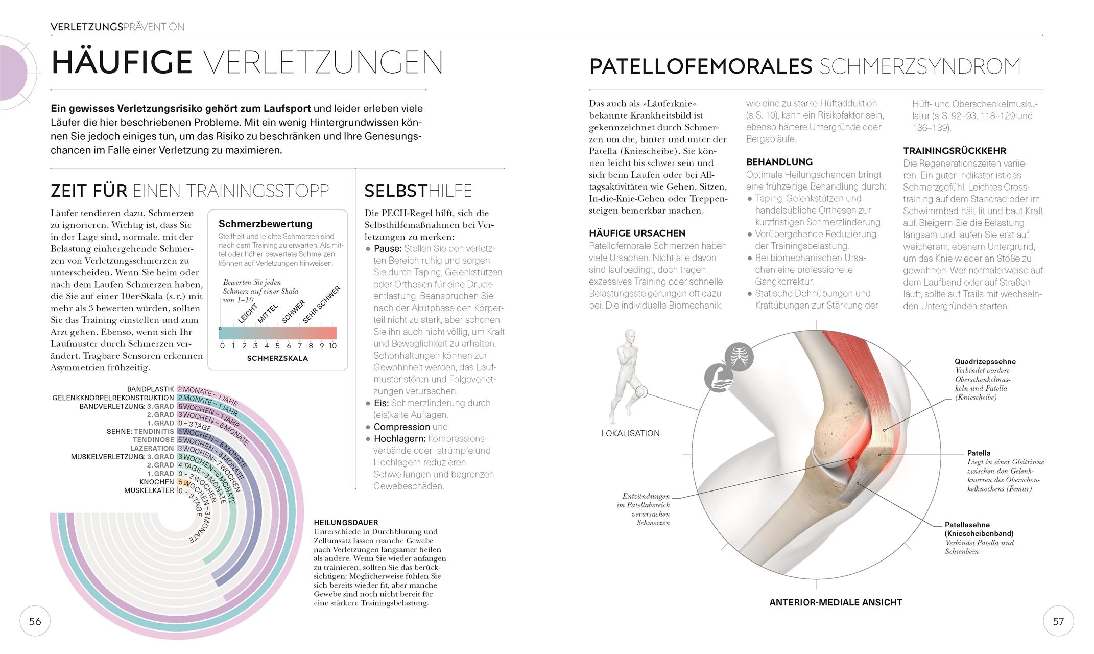 Lauftraining - Die Anatomie verstehen