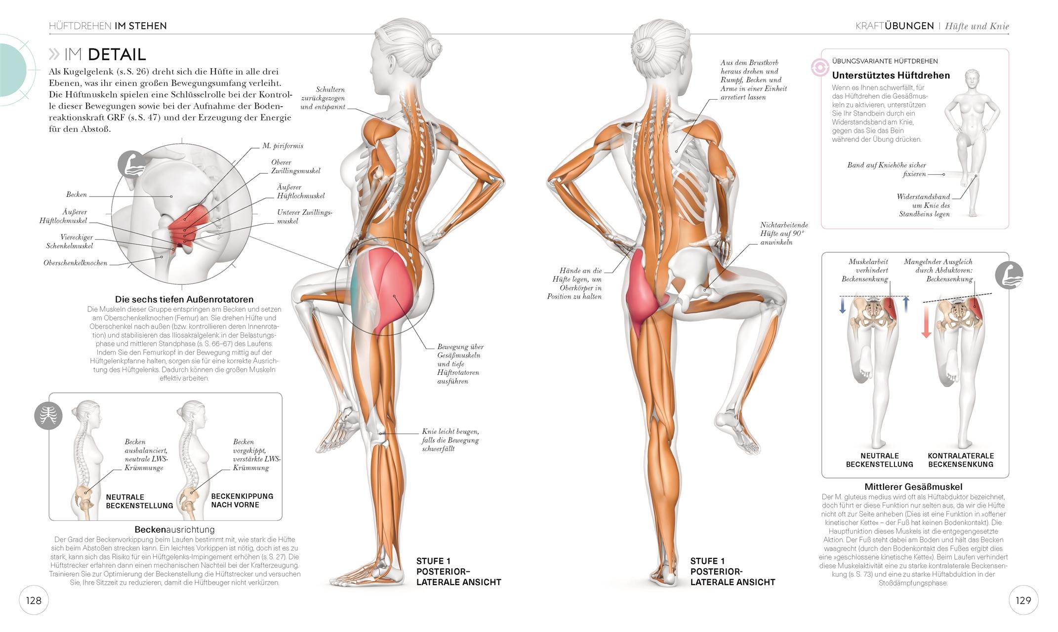 Lauftraining - Die Anatomie verstehen