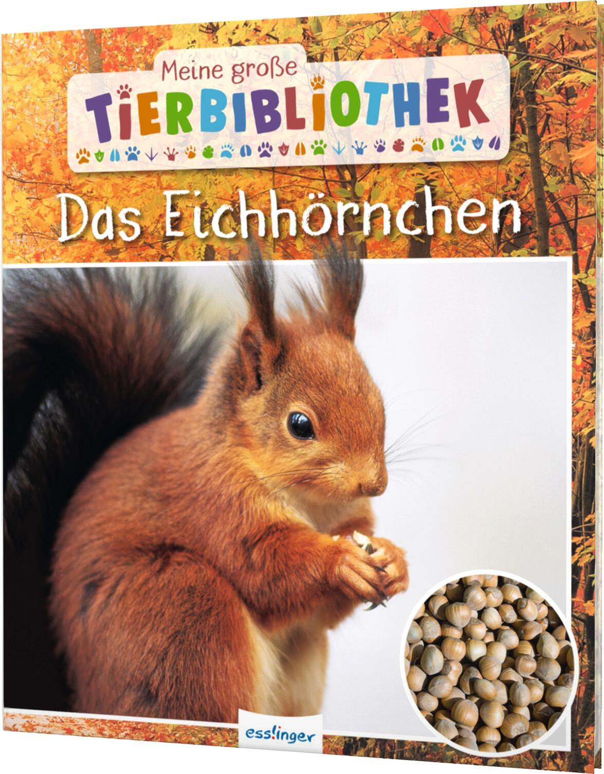 Meine große Tierbibliothek: Das Eichhörnchen