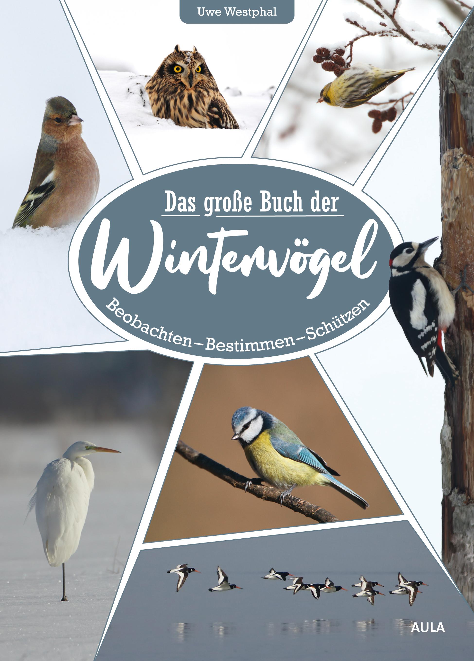 Das große Buch der Wintervögel