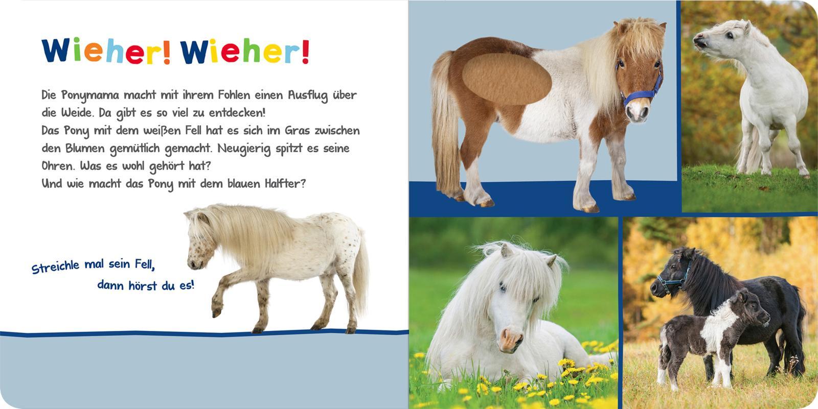 Hör mal rein, wer kann das sein? - Kuschelige Tiere