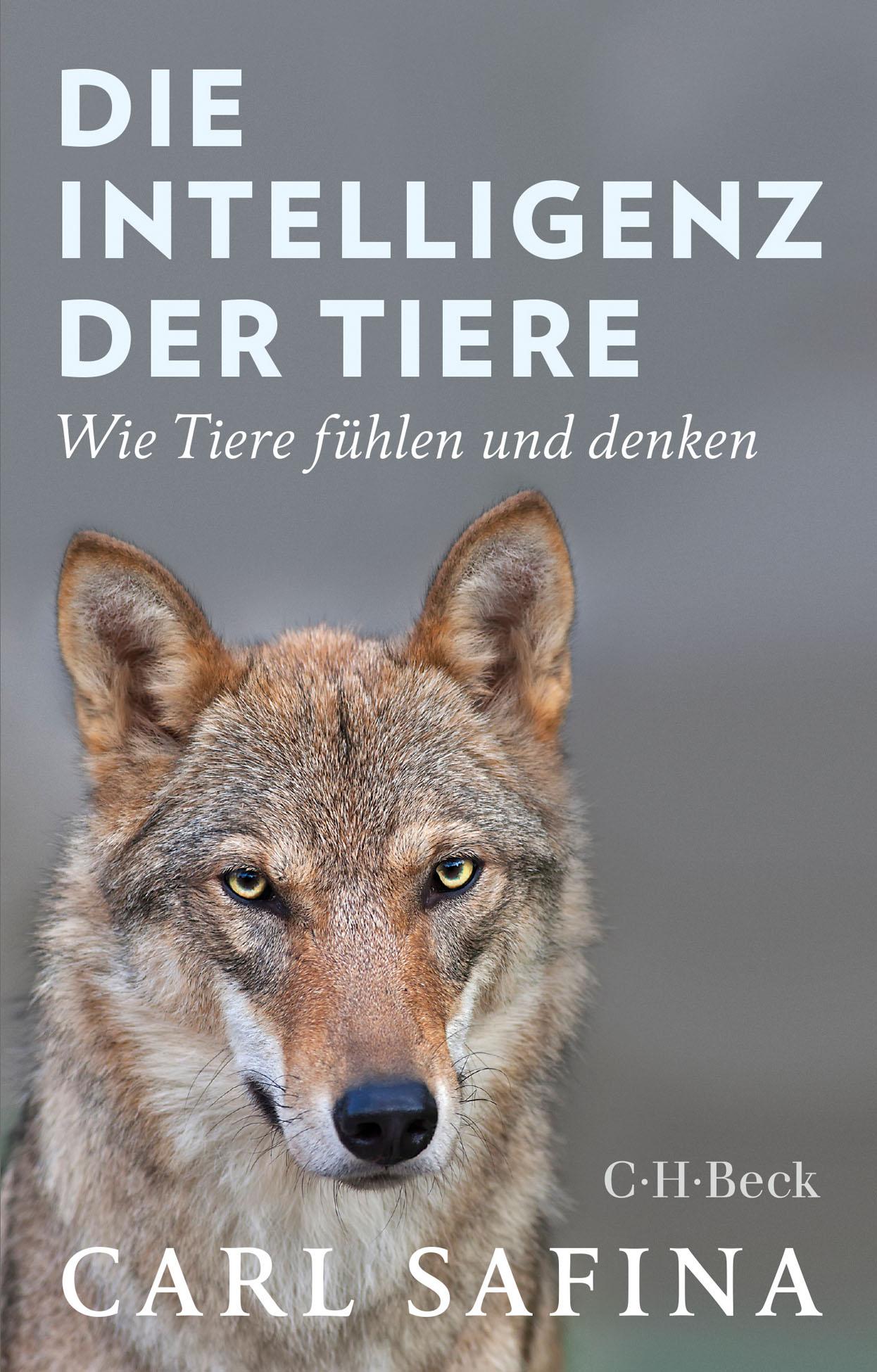 Die Intelligenz der Tiere