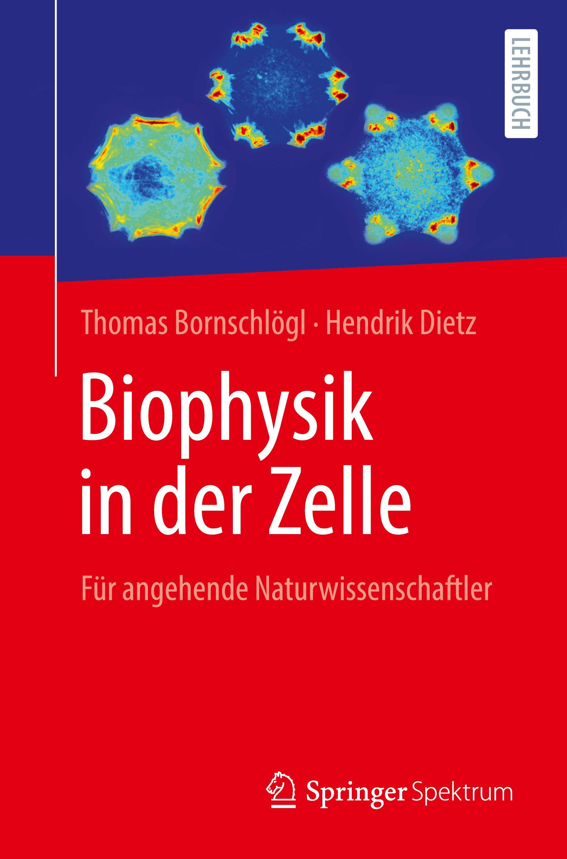 Biophysik in der Zelle