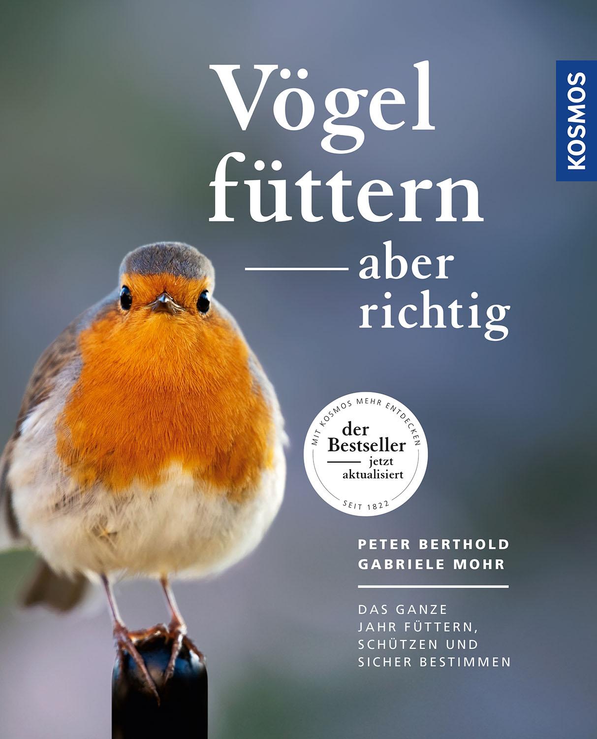 Vögel füttern, aber richtig