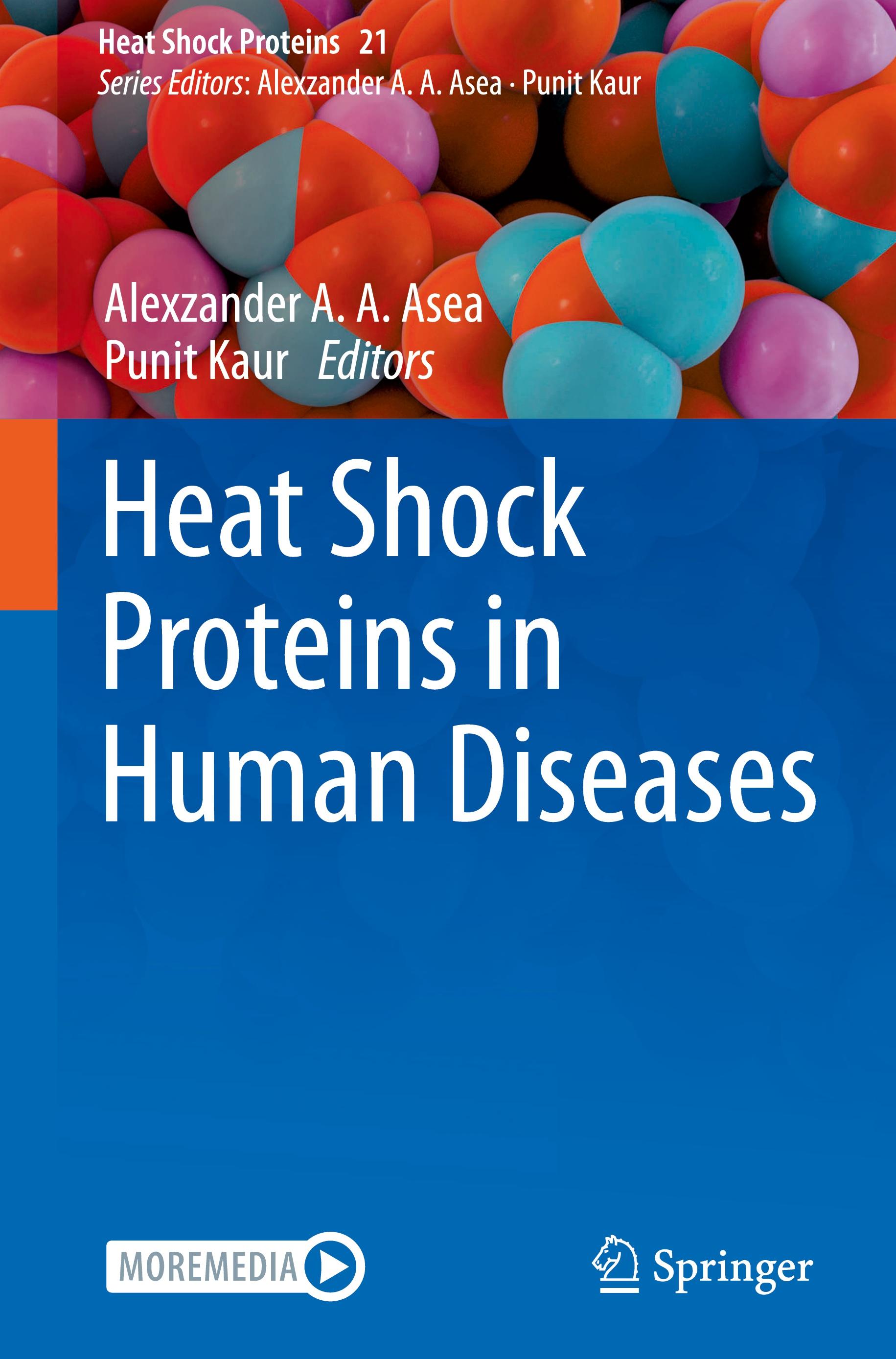 Heat Shock Proteins in Human Diseases