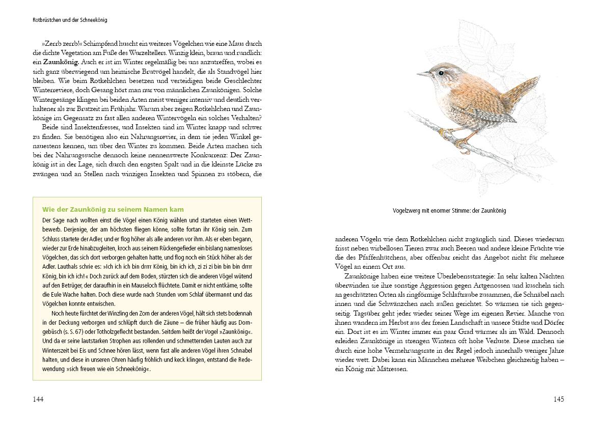 Vogelstimmen in Wald und Hecke