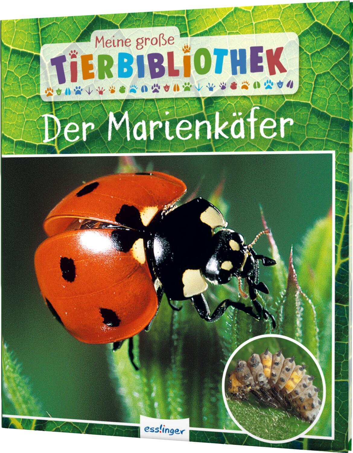 Meine große Tierbibliothek: Der Marienkäfer