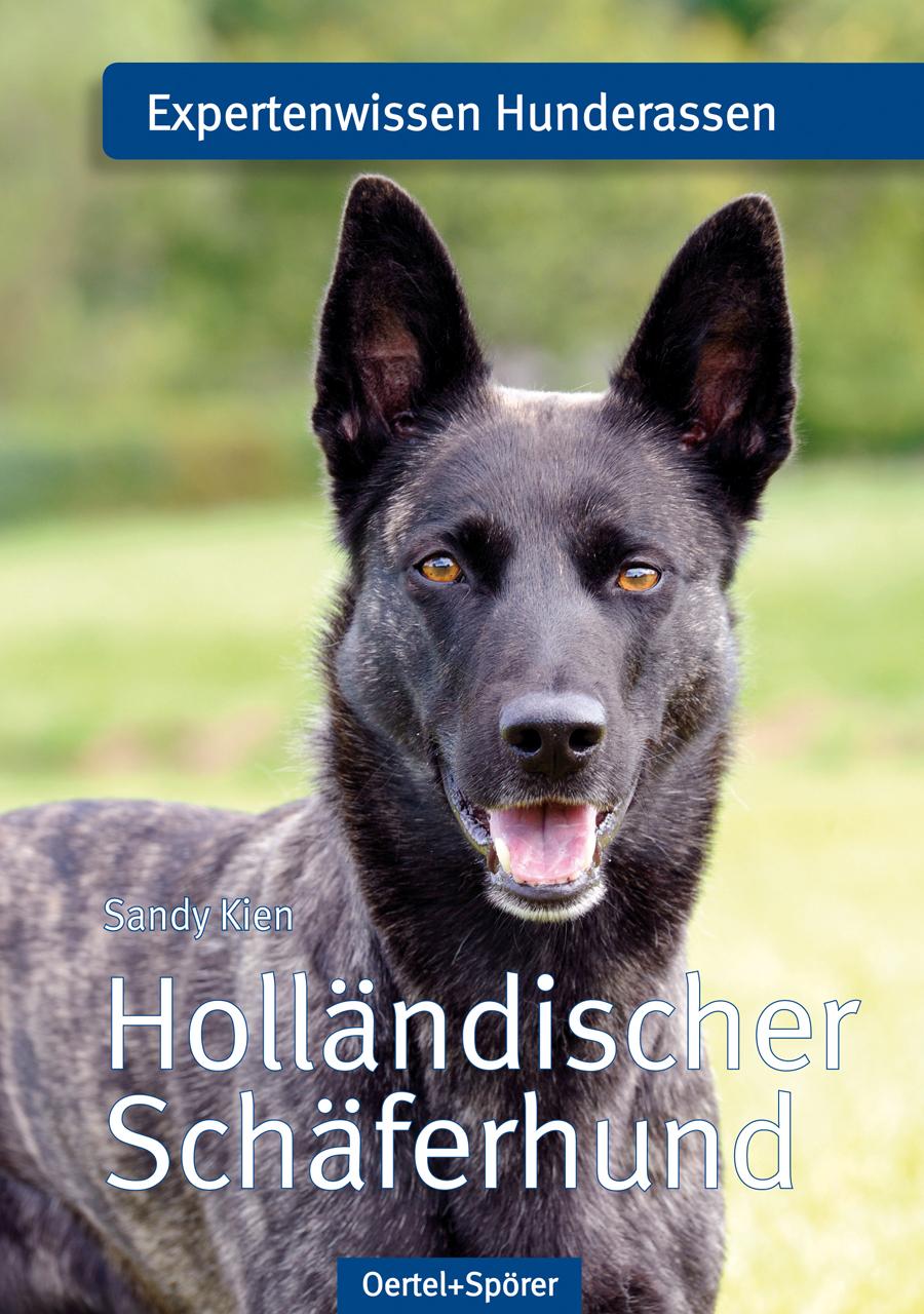 Holländischer Schäferhund