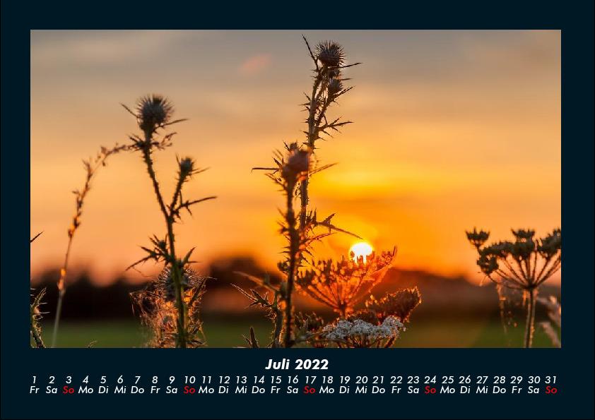 Natur-Bilder 2022 Fotokalender DIN A4