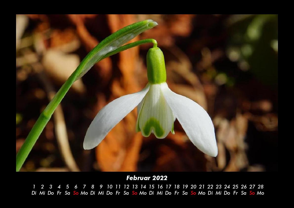 Natur-Bilder 2022 Fotokalender DIN A3