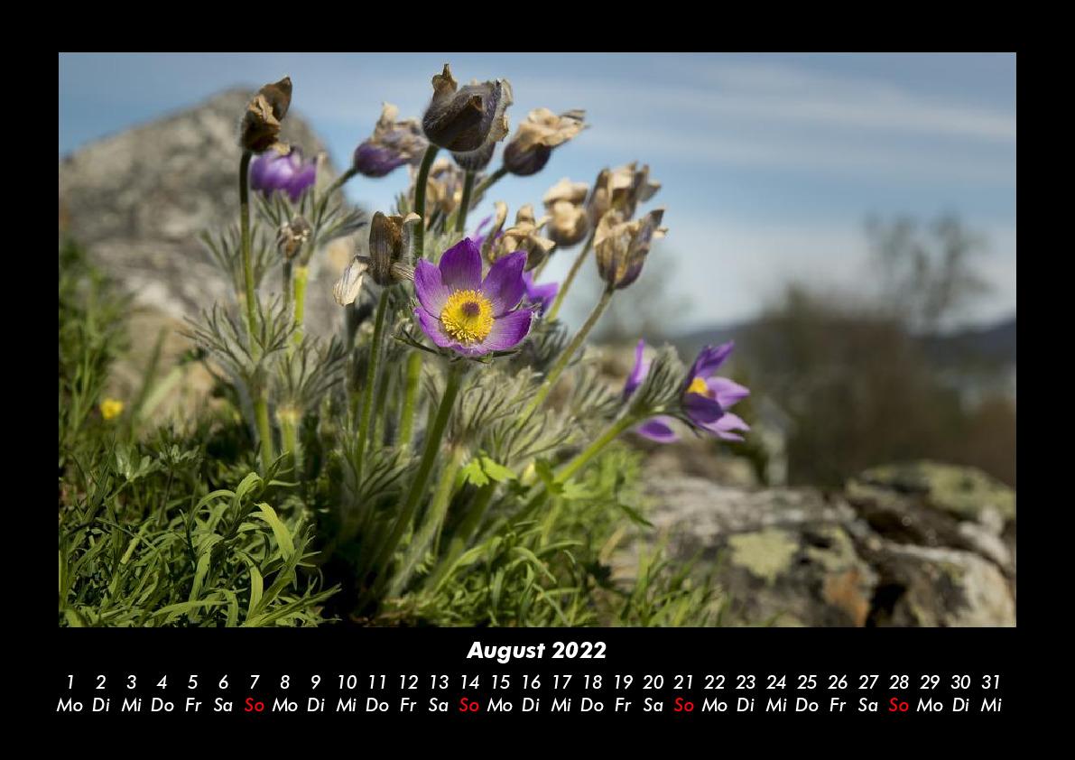 Natur-Bilder 2022 Fotokalender DIN A3