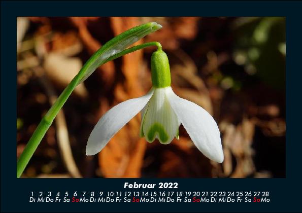 Natur-Bilder 2022 Fotokalender DIN A5