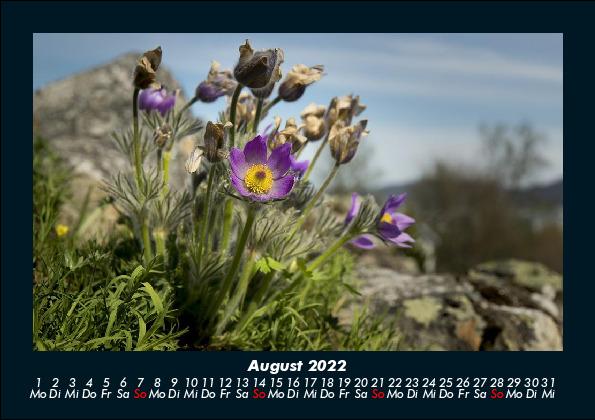 Natur-Bilder 2022 Fotokalender DIN A5