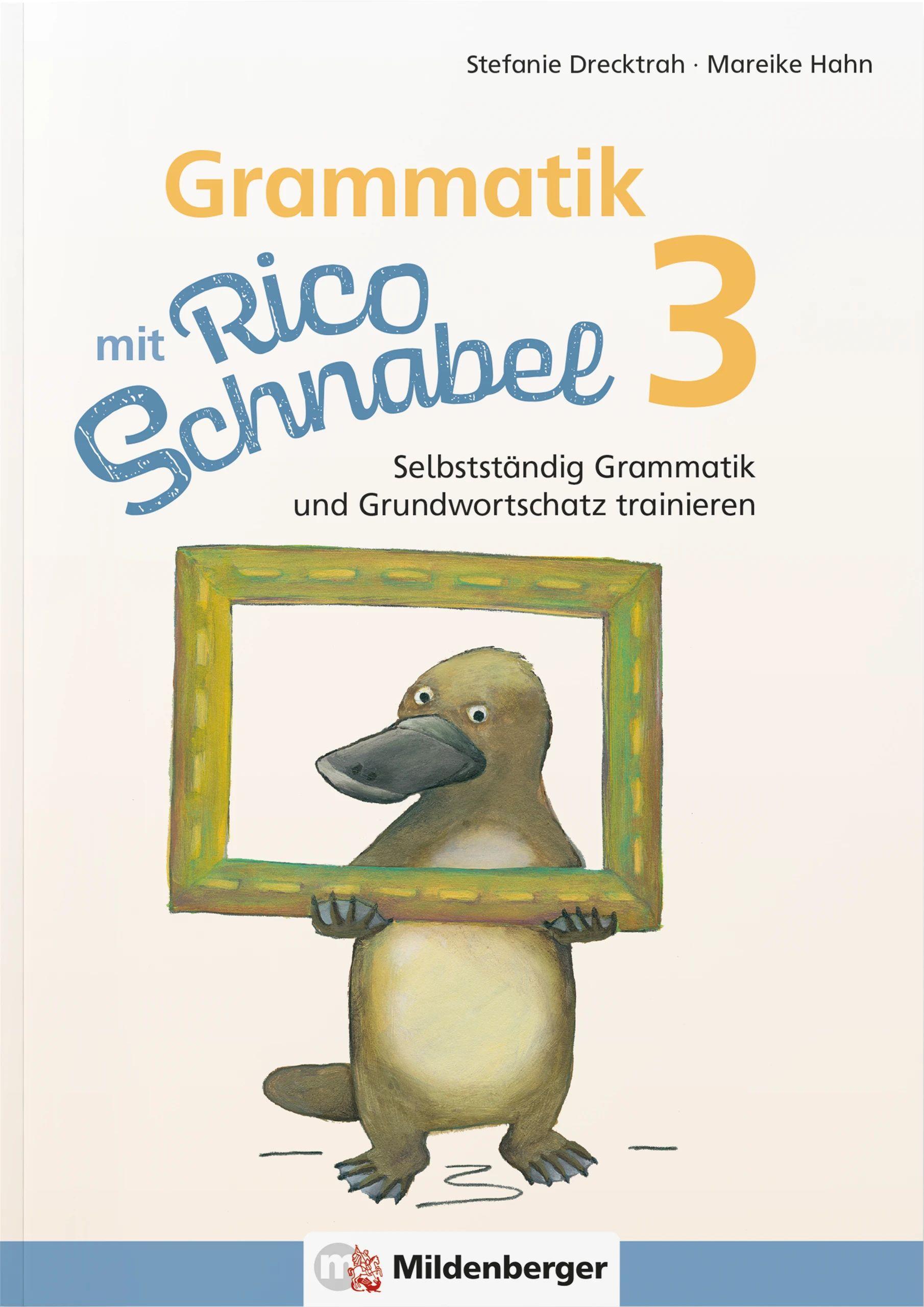 Grammatik mit Rico Schnabel, Klasse 3