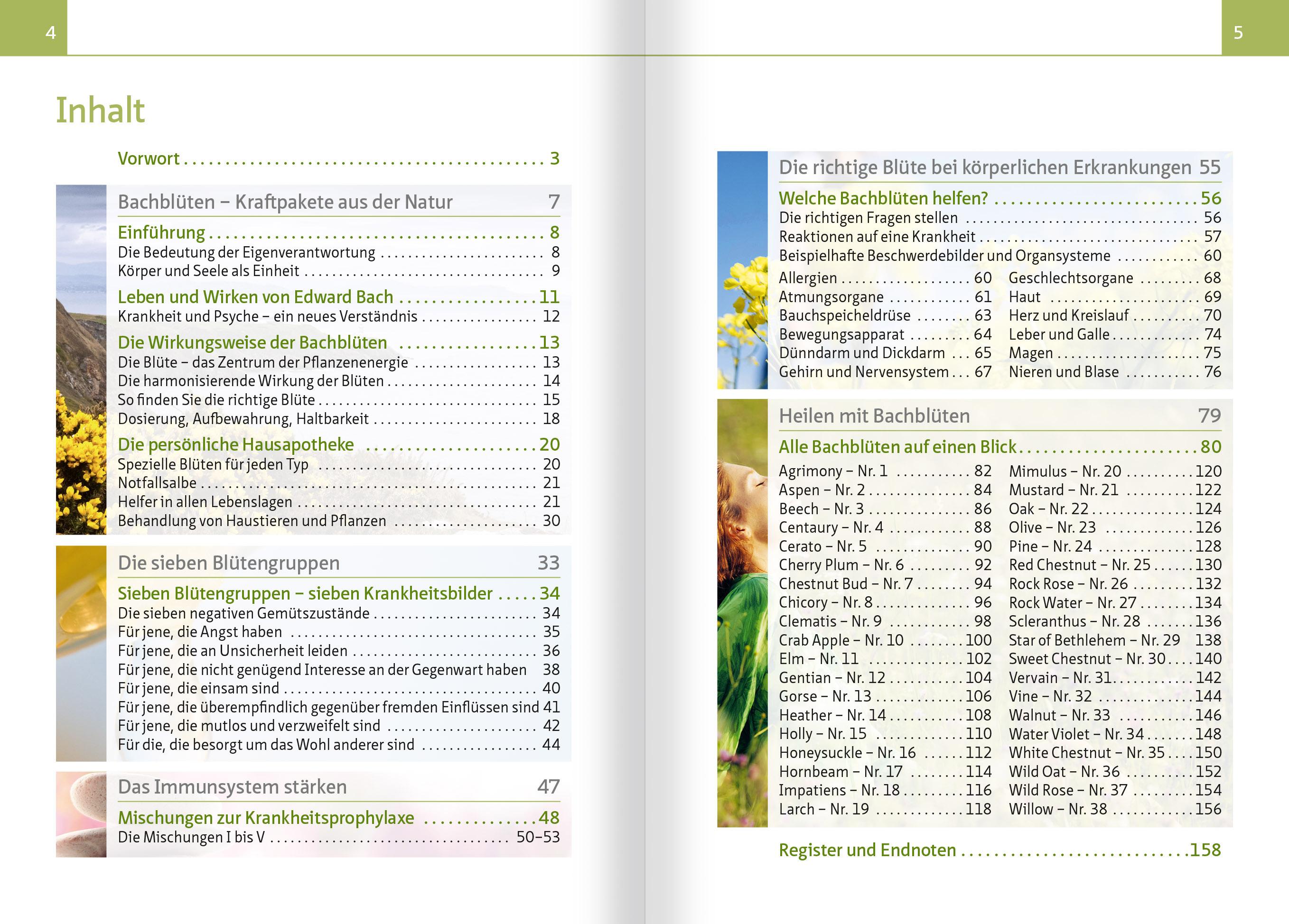 Heilen mit Bachblüten. Kompakt-Ratgeber