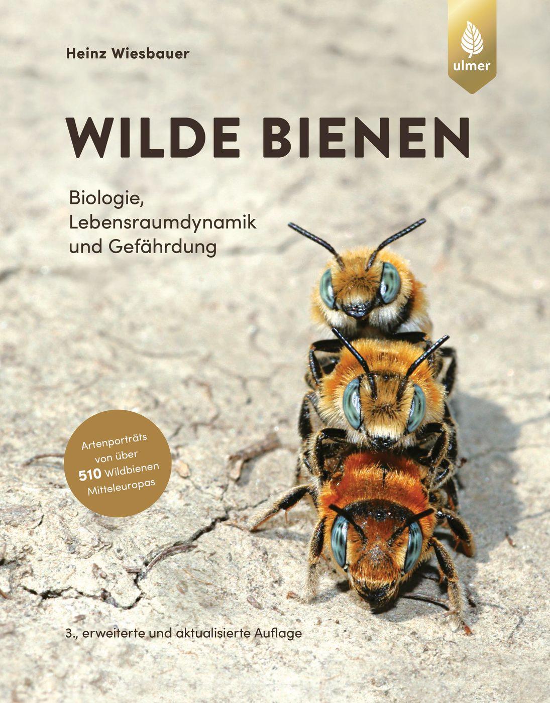 Wilde Bienen