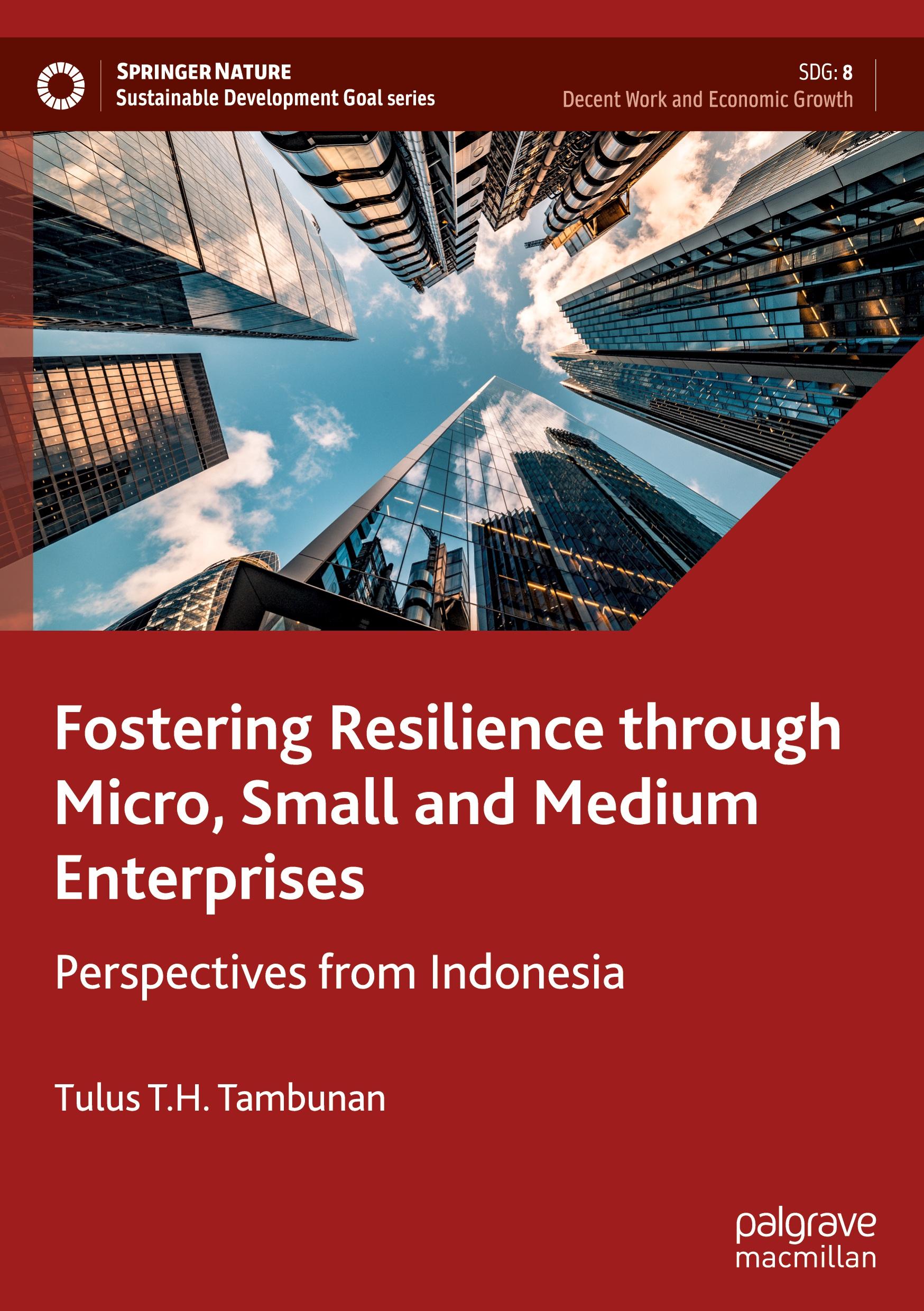 Fostering Resilience through Micro, Small and Medium Enterprises