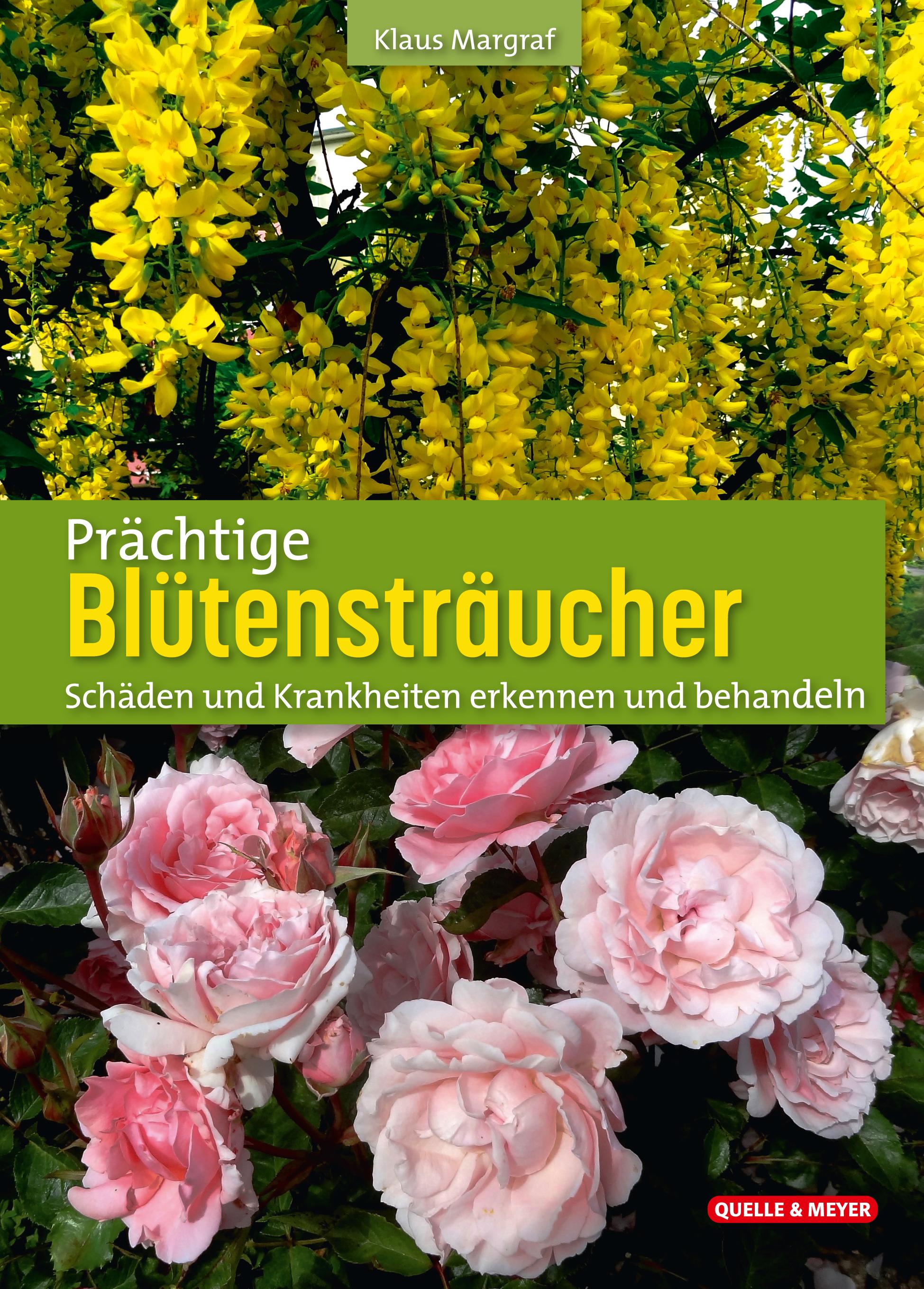 Prächtige Blütensträucher