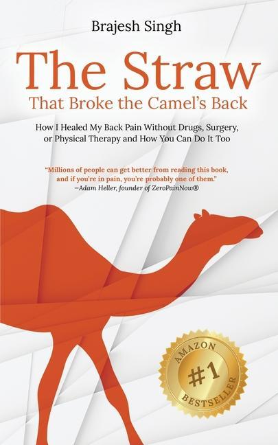 The Straw That Broke the Camel's Back: How I Healed My Back Pain Without Drugs, Surgery, or Physical Therapy and How You Can Do It Too