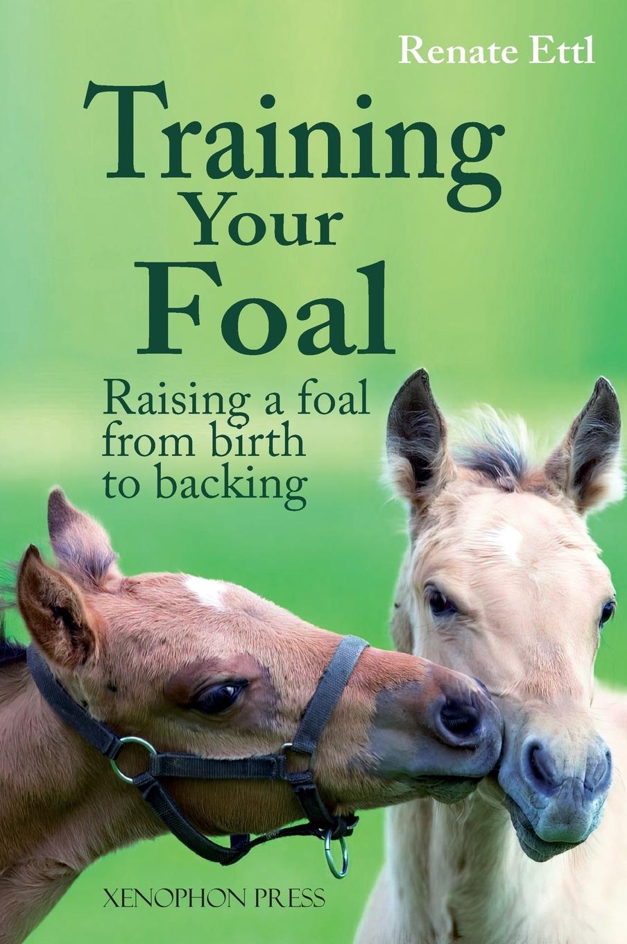 Training Your Foal