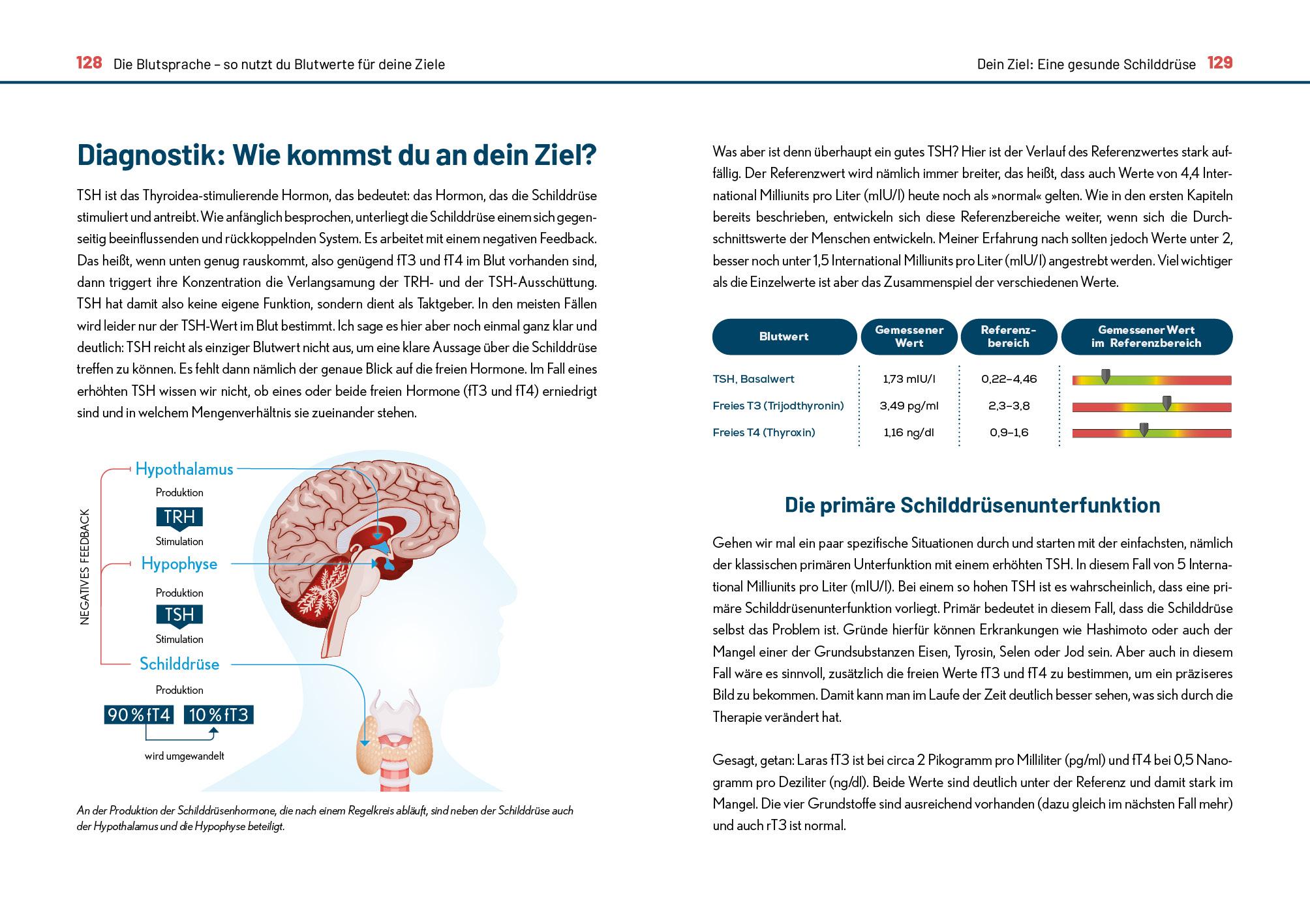 Der Blutwerte-Code