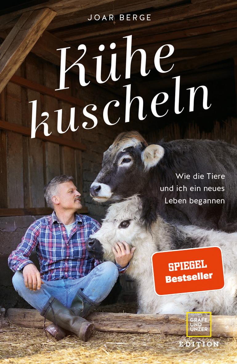 Kühe kuscheln