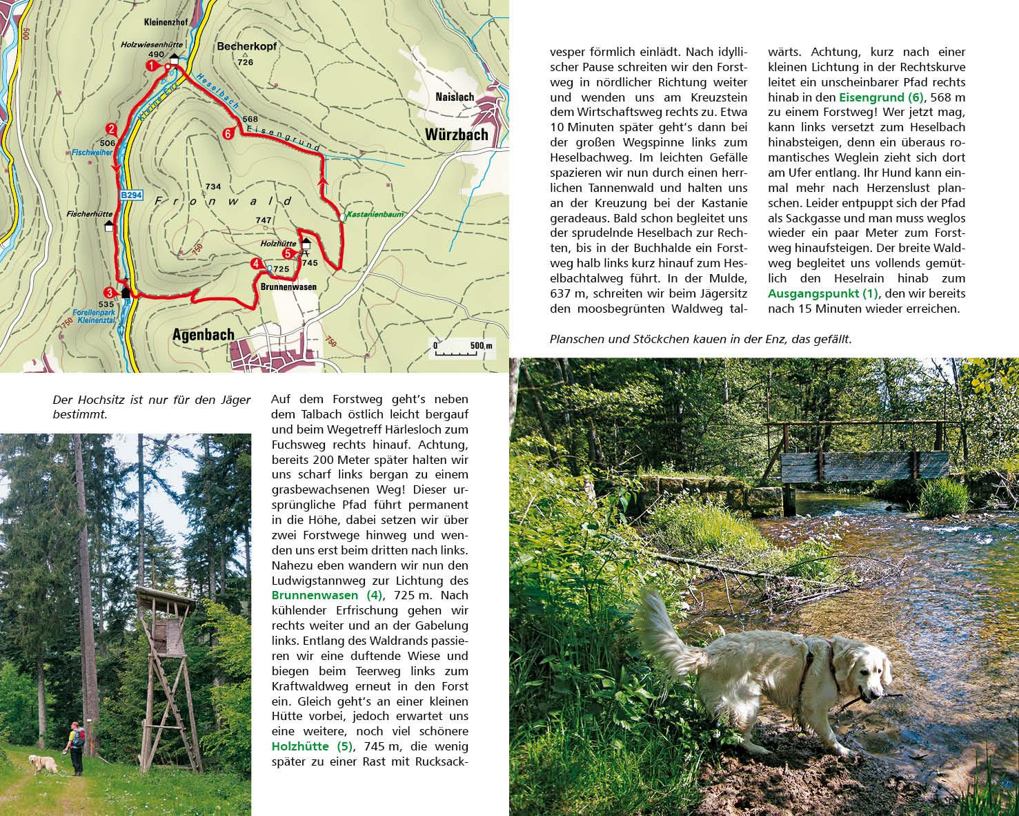 Wandern mit Hund Schwarzwald