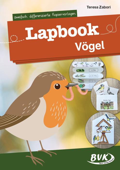 Lapbook Vögel