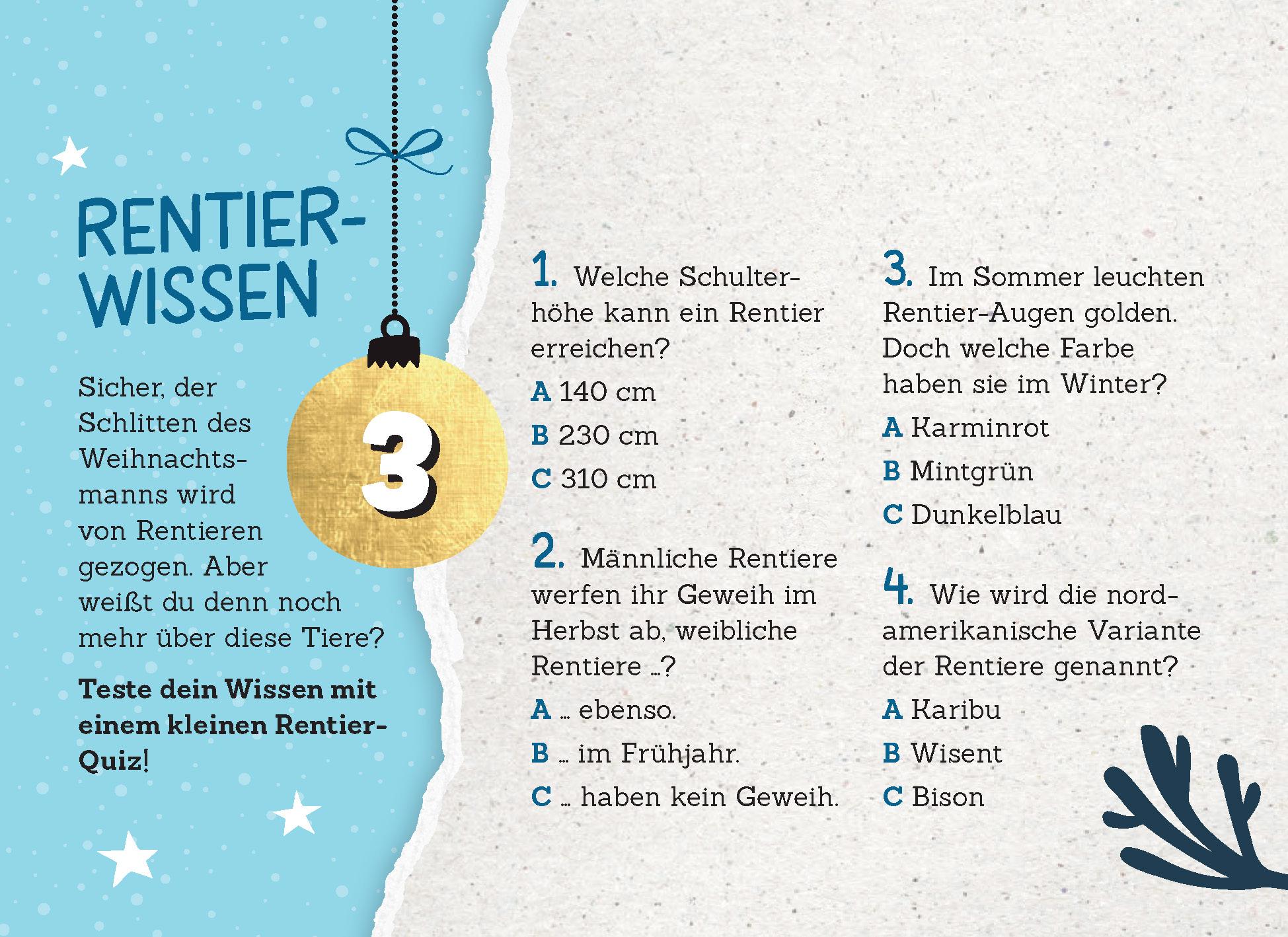 24 Adventsrätsel | Die perfekte Ablenkung vom Weihnachtsstress