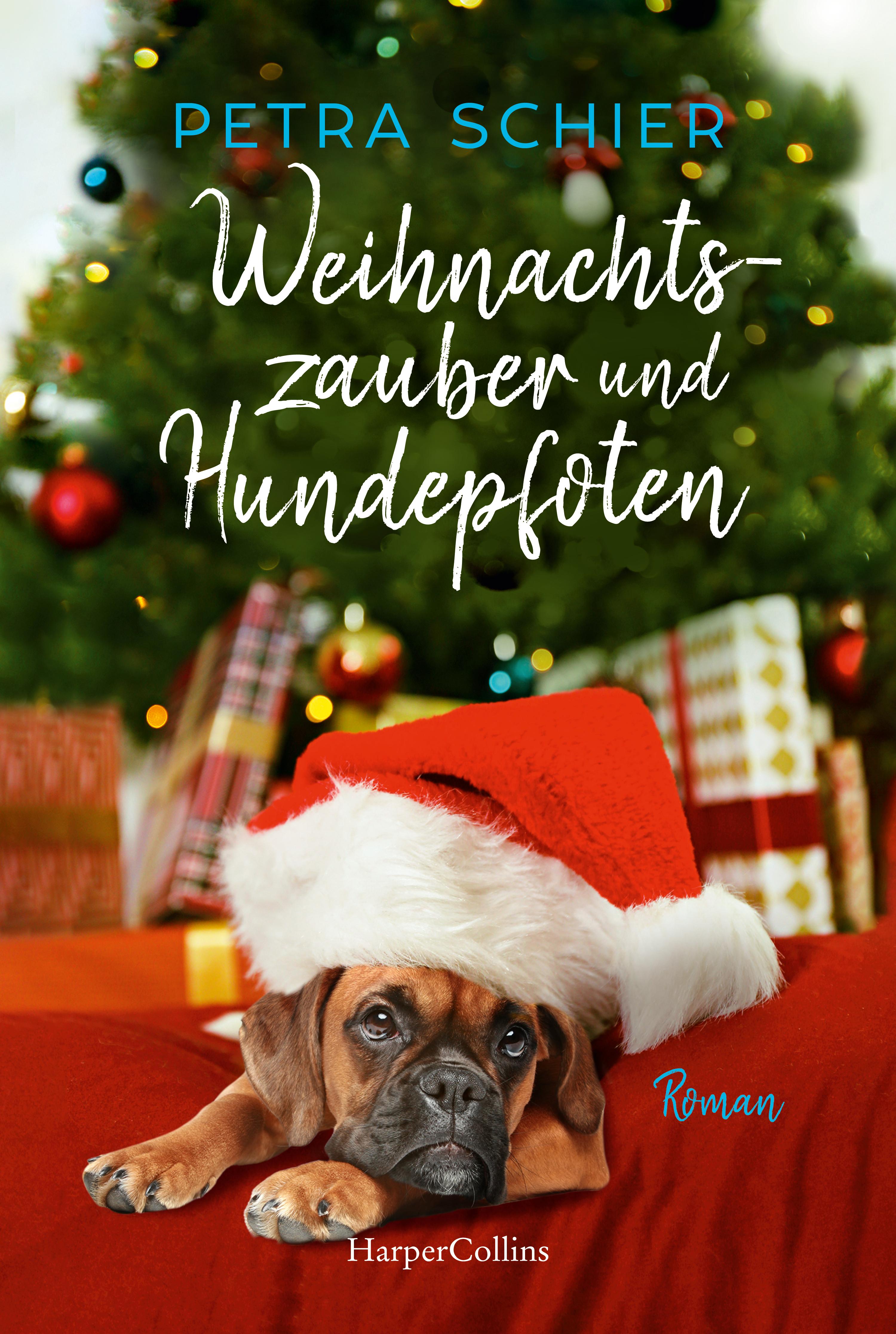 Weihnachtszauber und Hundepfoten