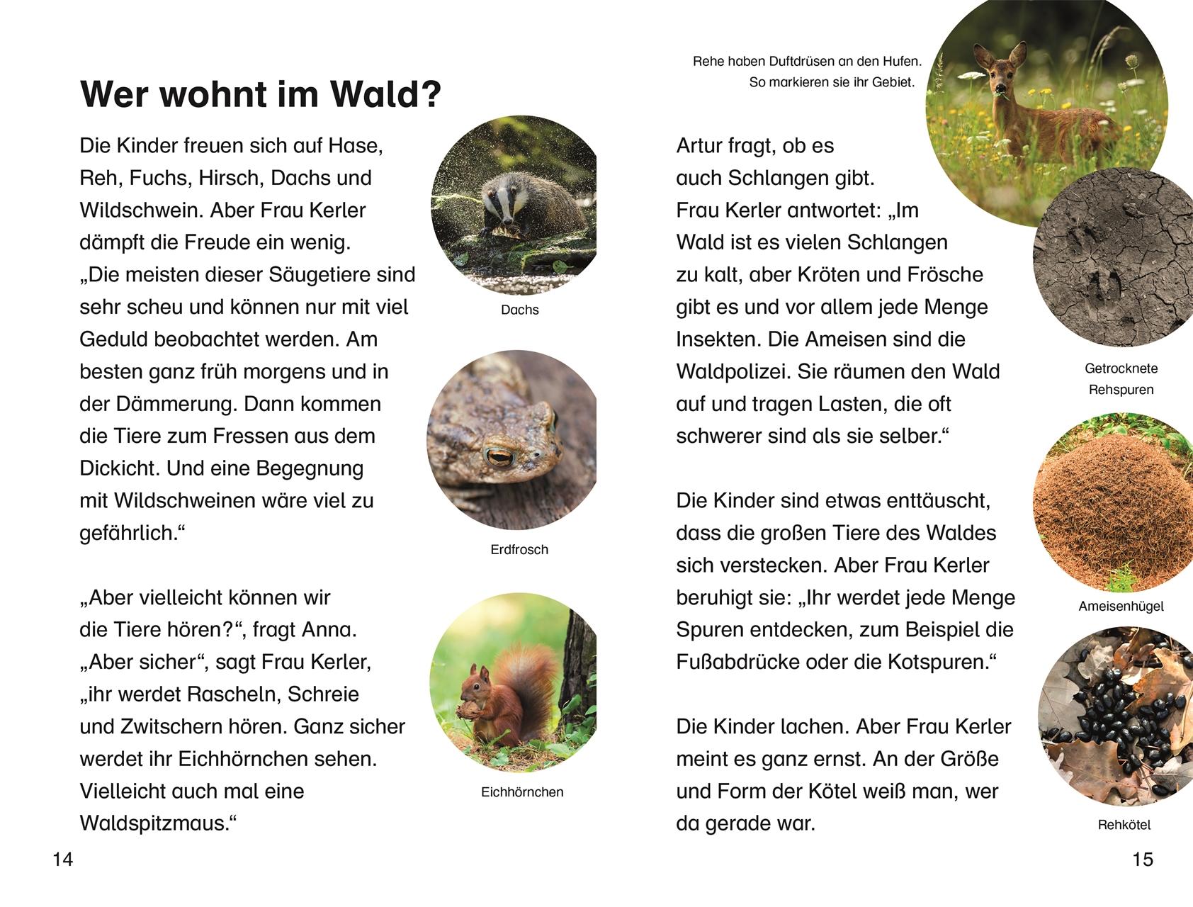 SUPERLESER! Klassenfahrt in den Wald