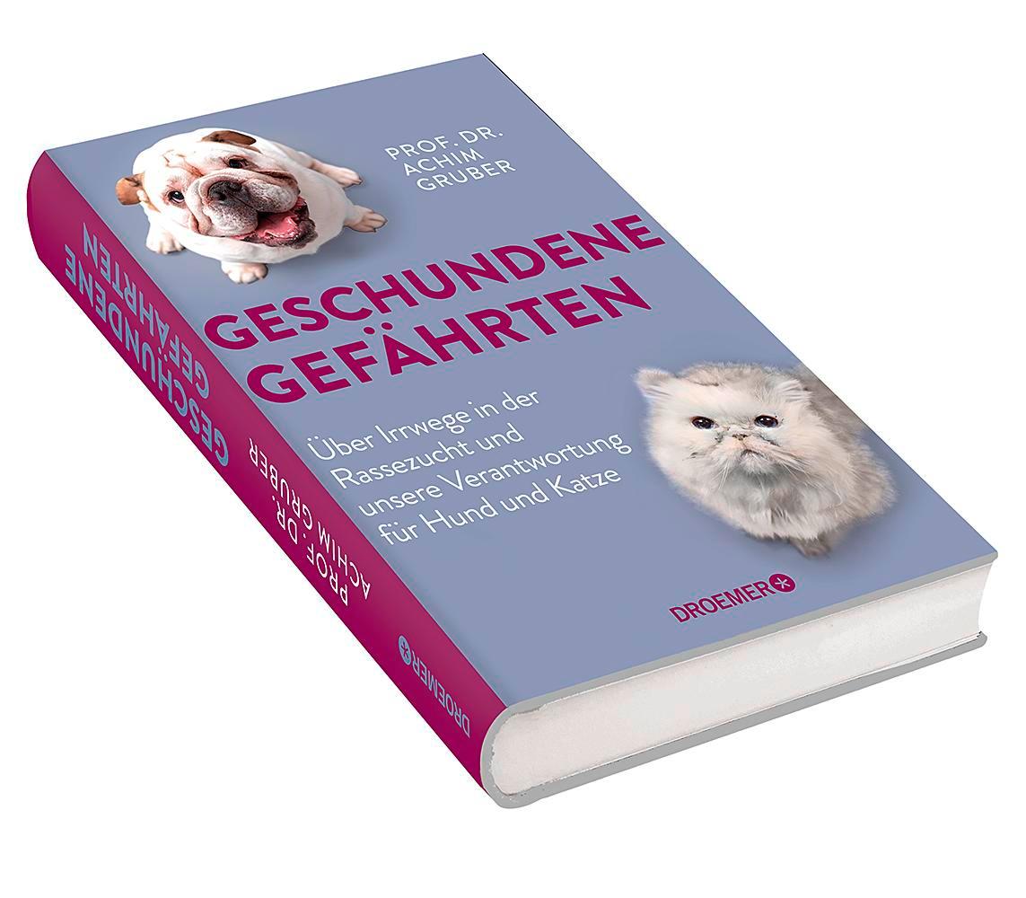 Geschundene Gefährten