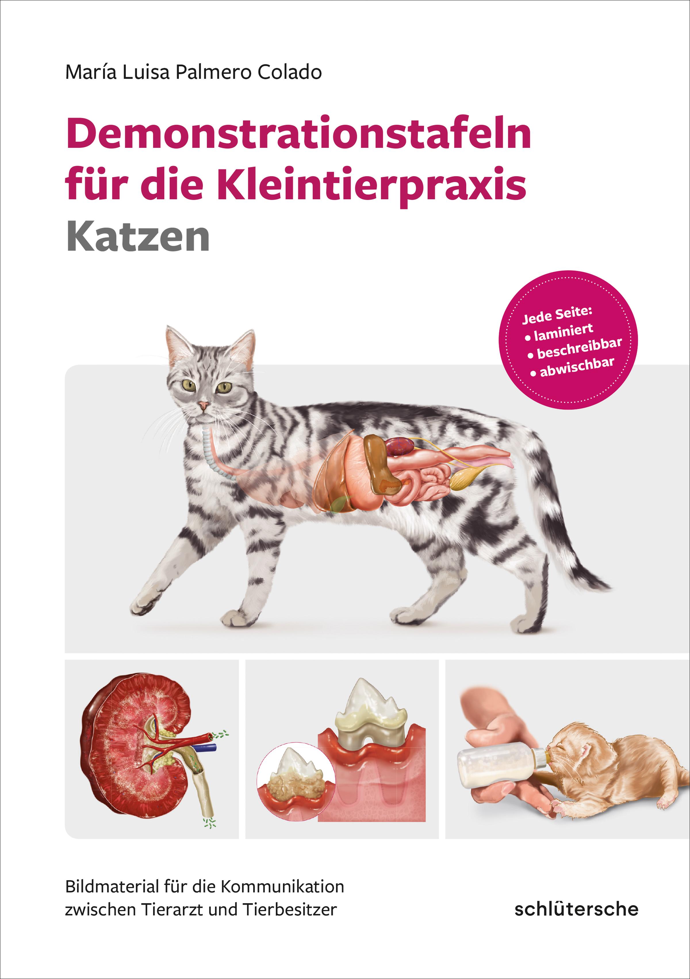 Demonstrationstafeln für die Kleintierpraxis Katzen