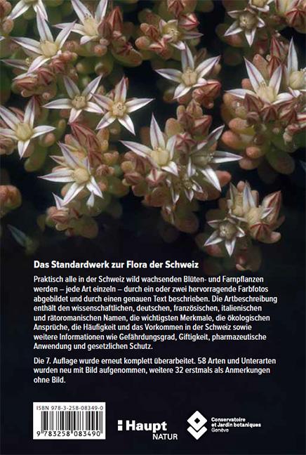 Flora Helvetica - Illustrierte Flora der Schweiz