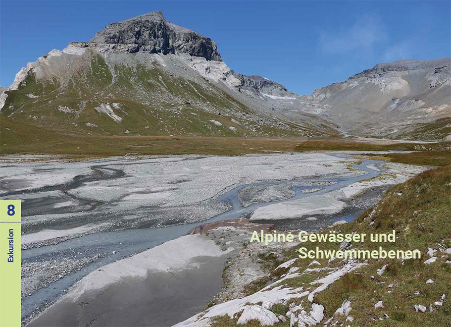 Biodiversität zwischen Wasser und Land