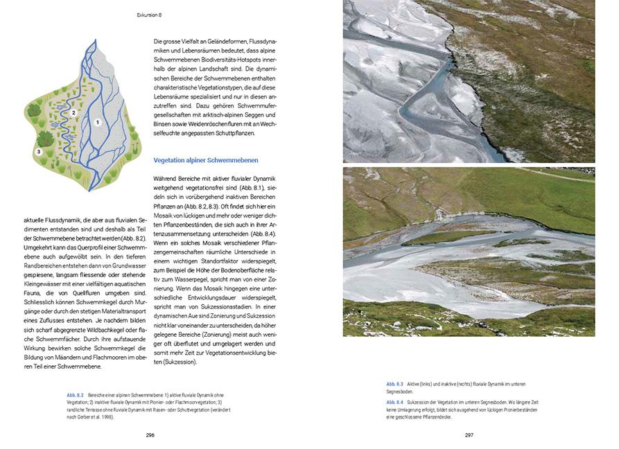 Biodiversität zwischen Wasser und Land