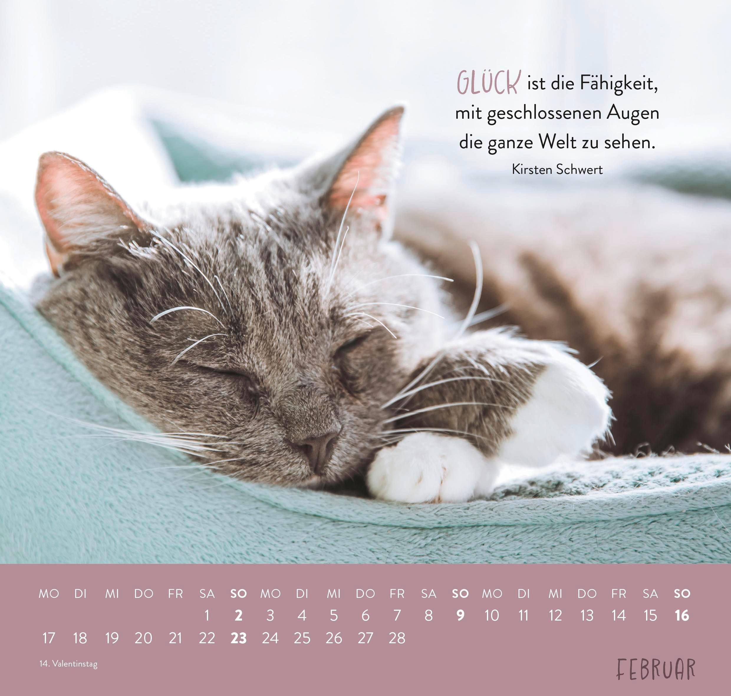 Wandkalender 2025: Für Katzenfreunde