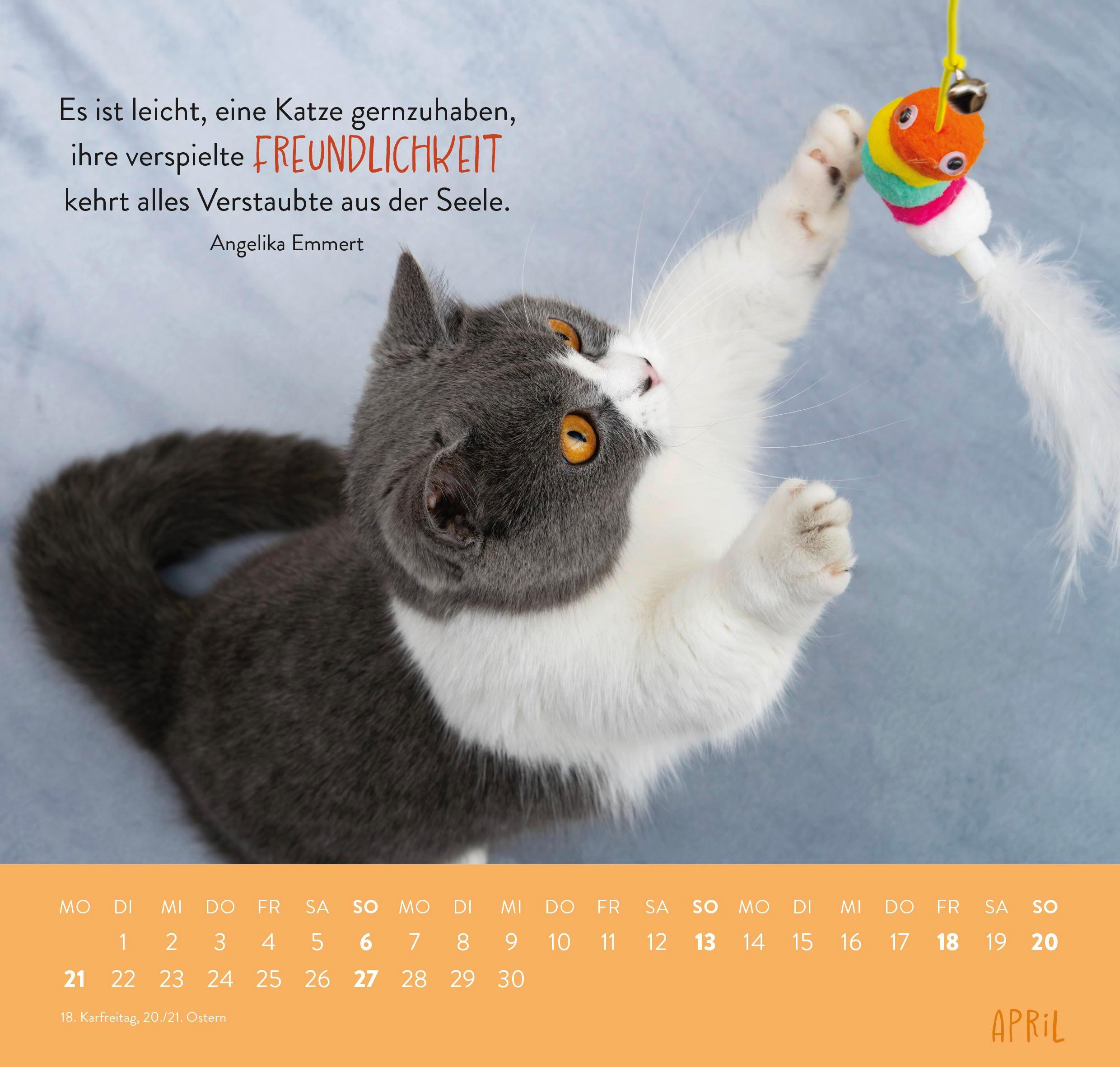 Wandkalender 2025: Für Katzenfreunde